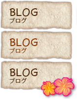 BLOG （ブログ）